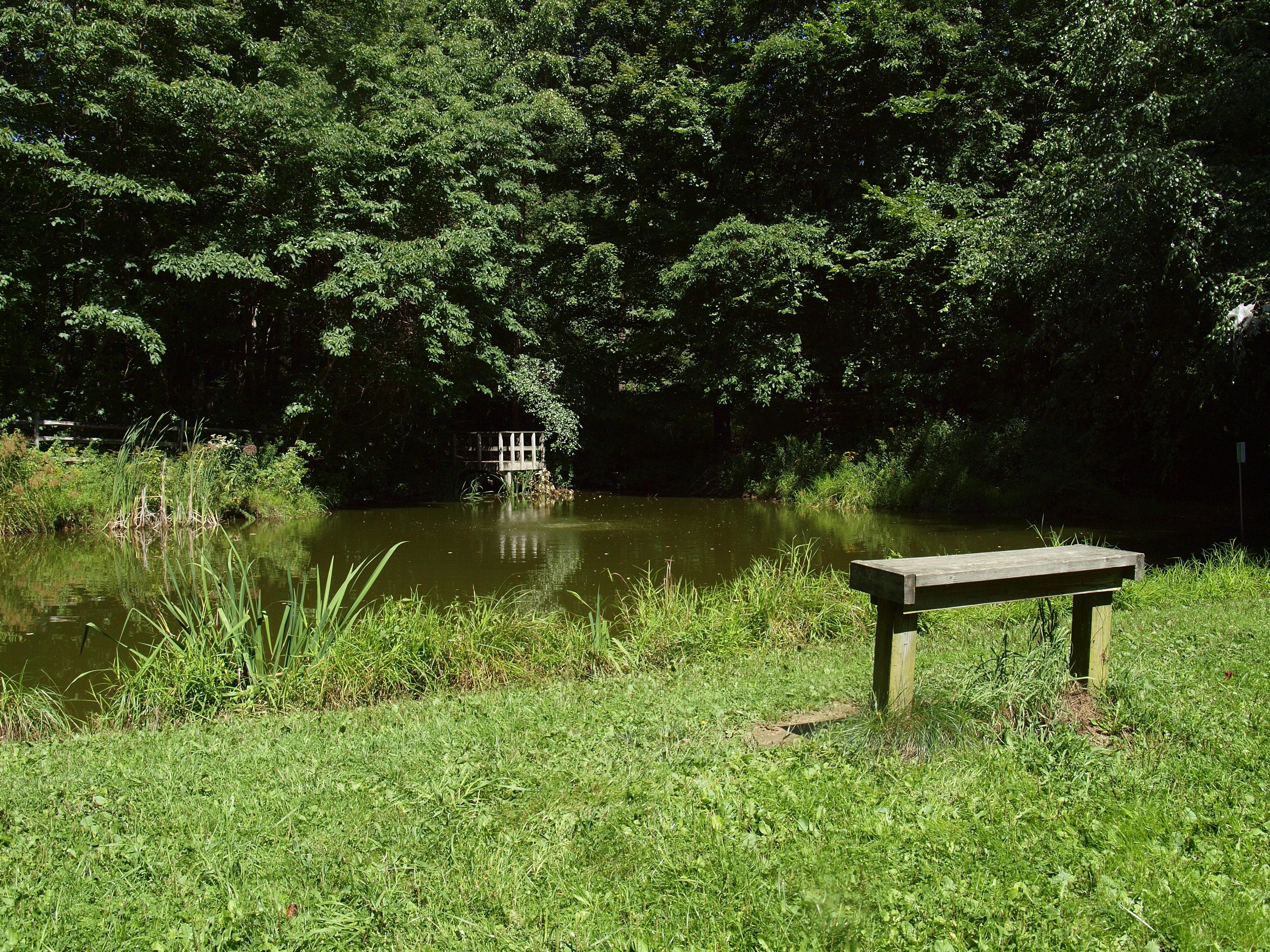 A bench in the grass overlooks a pond on the 自然中心 property
